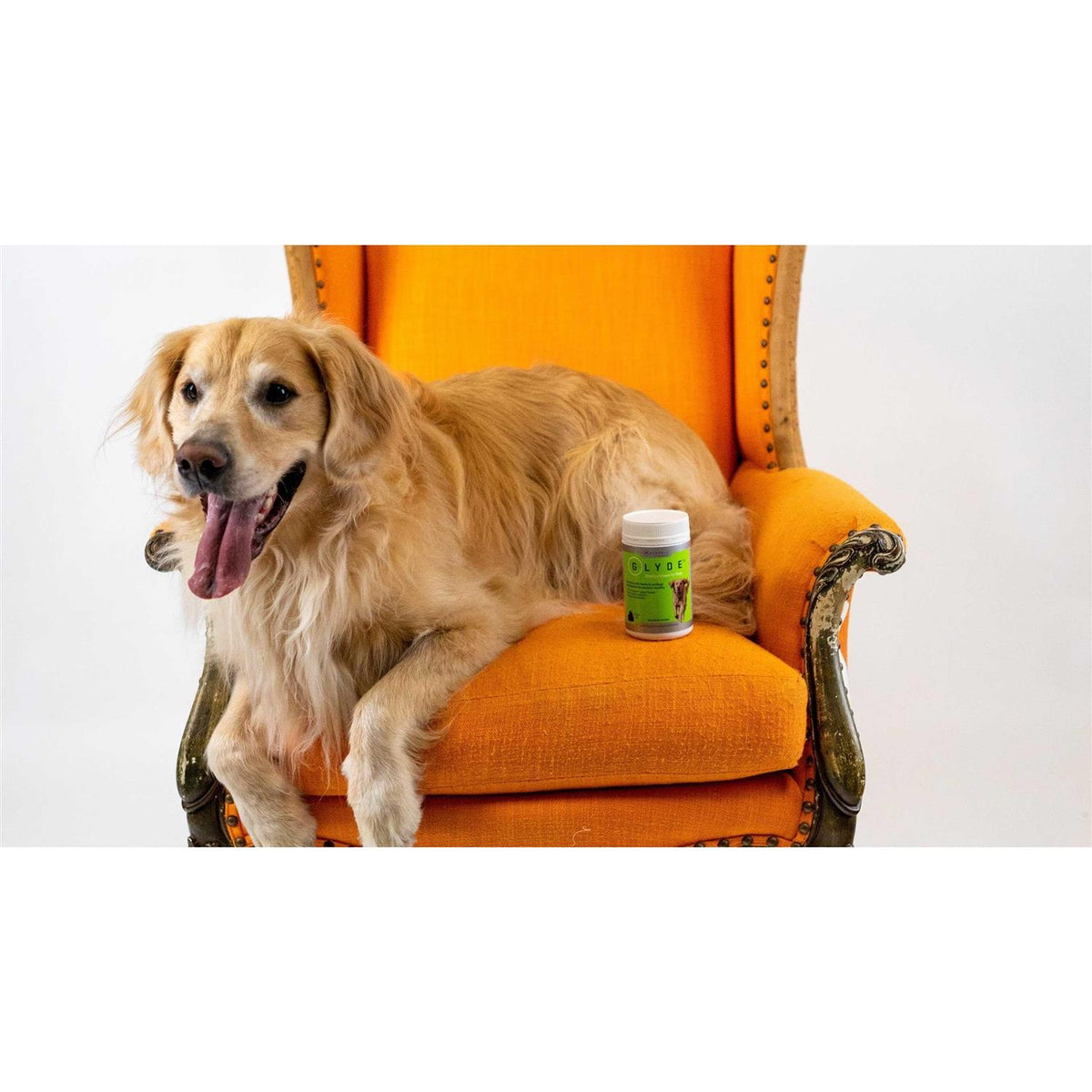 Mobility Chews for Dogs I2043
