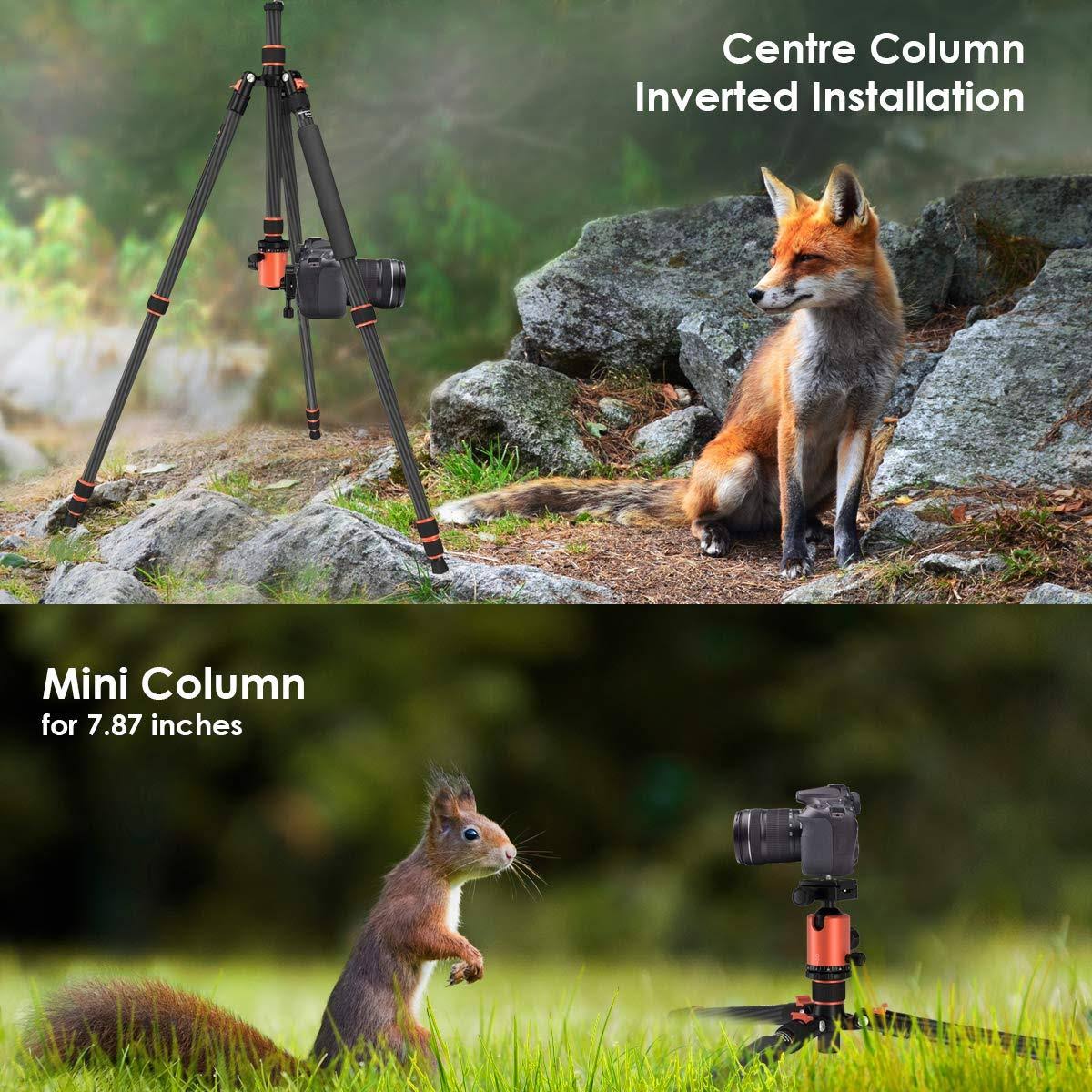 Carbon Fiber Camera Tripod Monopod with 360 Degree Ball Head K232882