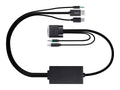 DisplayPort/DVI KVM Cable Z73149