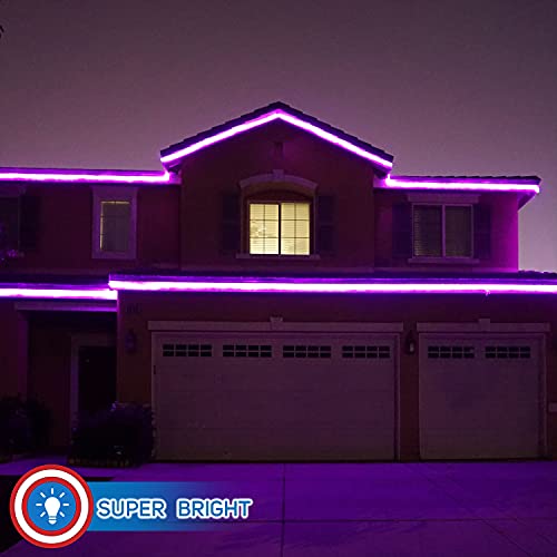 LED Rope Lights Cool White 50 R24443