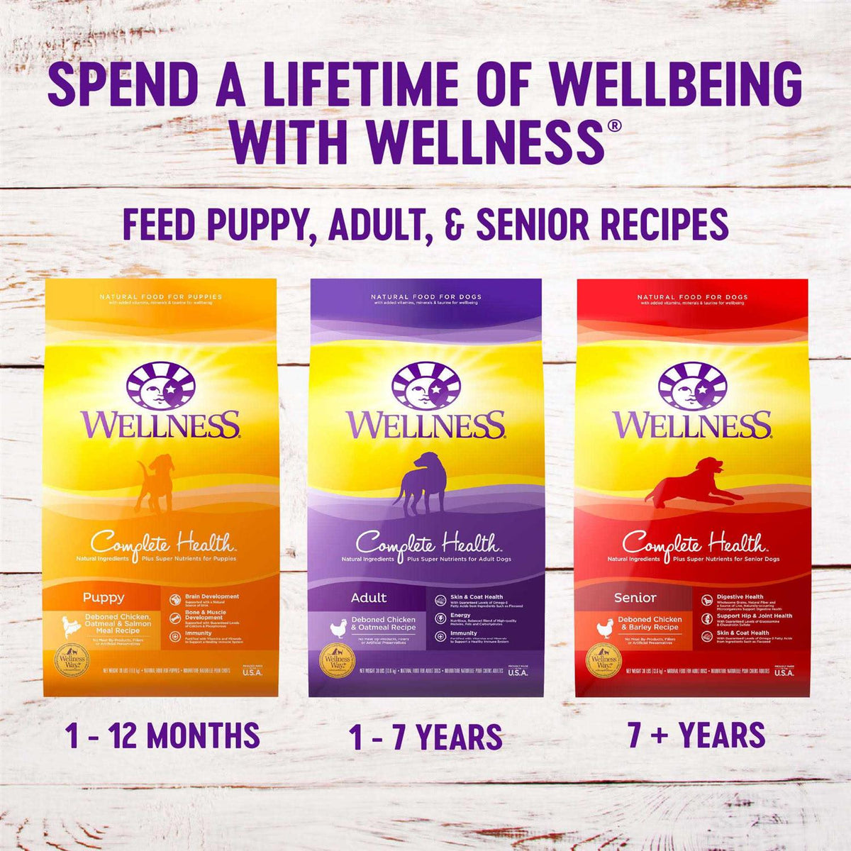 Chicken Senior Dry Dog Food P583262