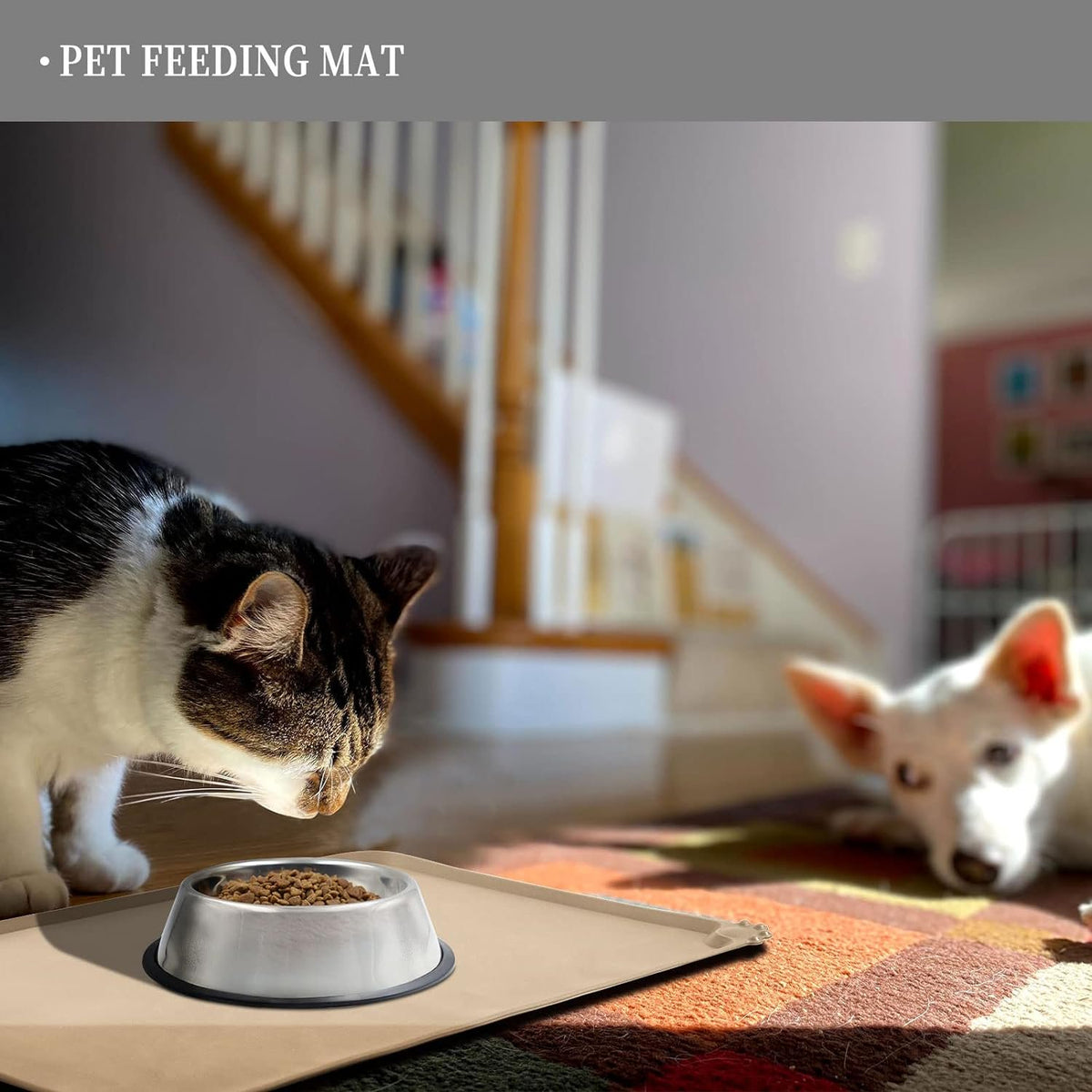 Waterproof Pet Feeding Mat with High Raised Edges M839