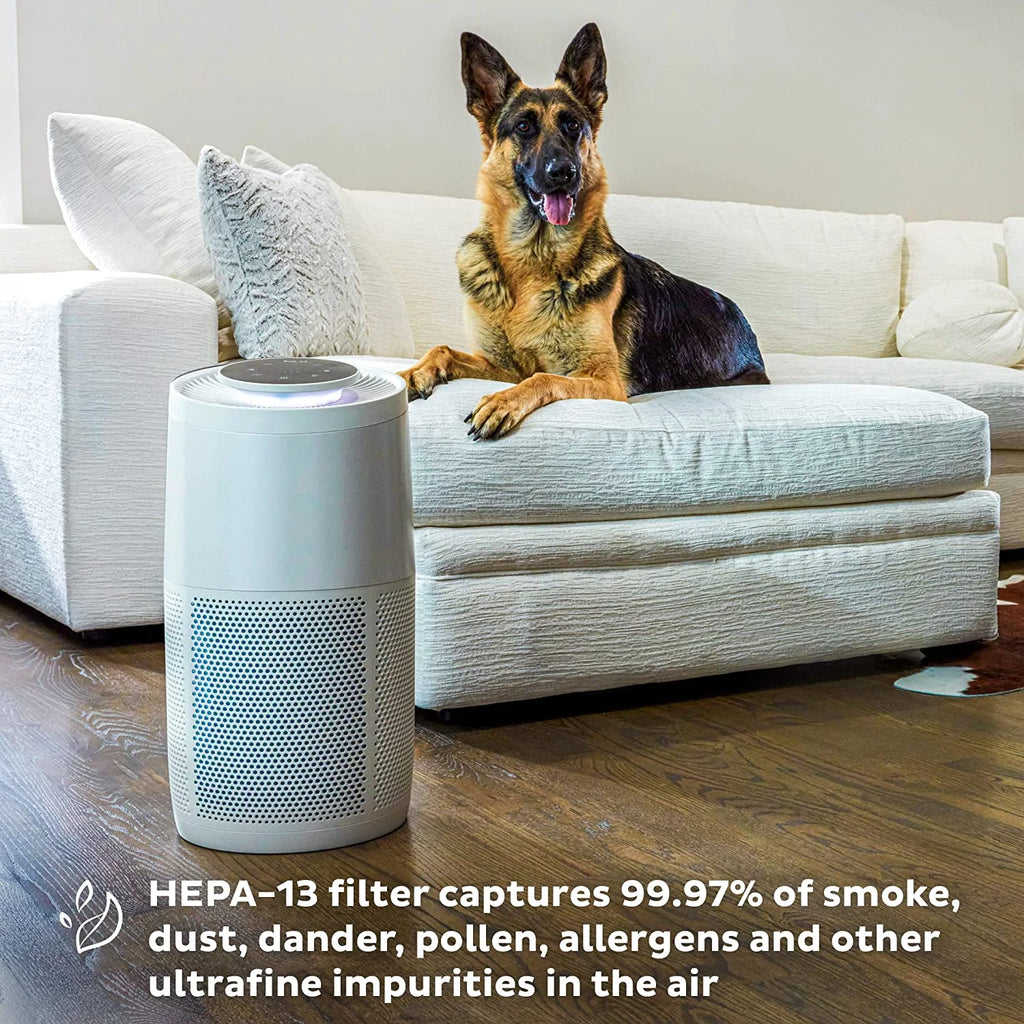 Quiet HEPA Air Purifier with Plasma Ion Technology for Rooms up to 630ft2 R7430