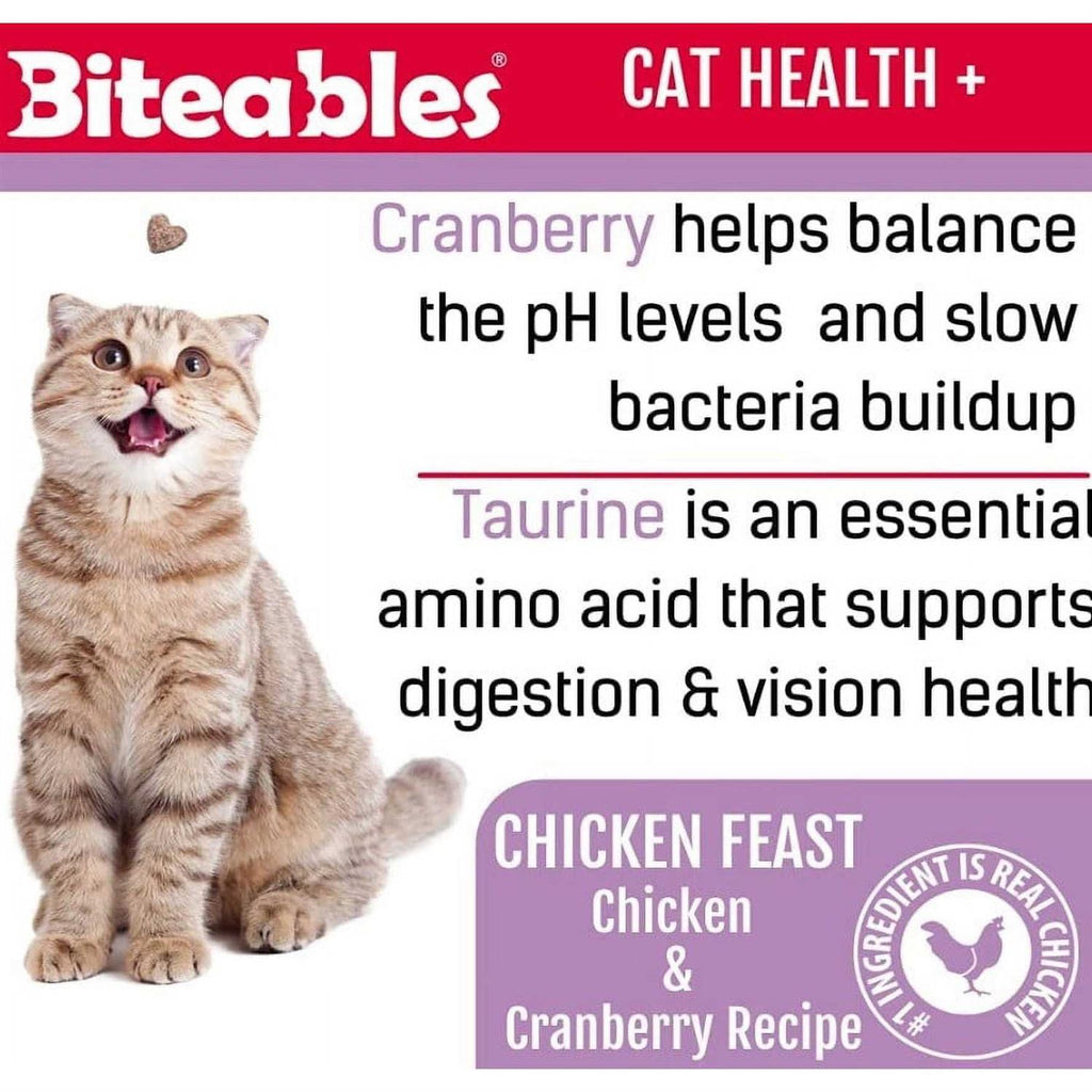 Soft Cat Treats B351952