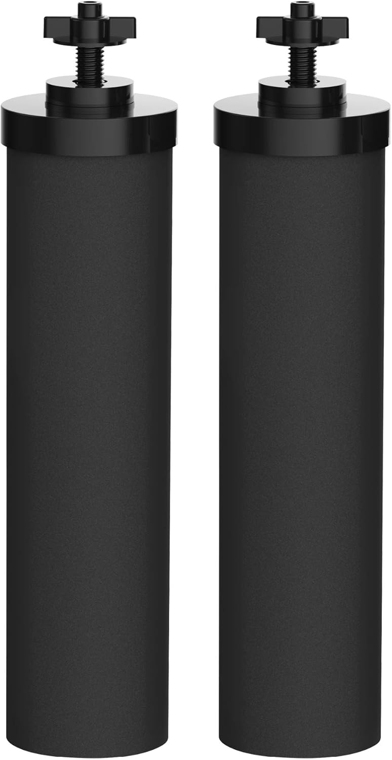 Water Filter Replacement Elements (2 Pack) L90740