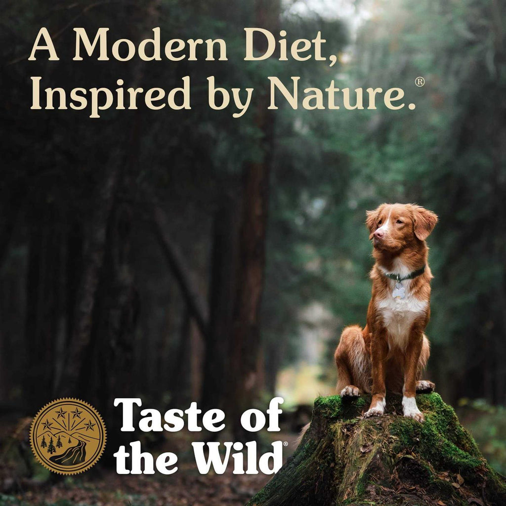 Canned Dog Food N530804