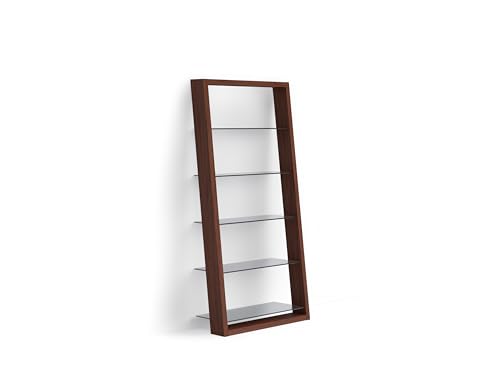 Charcoal Stained Ash Leaning Shelf with 5 Polished Tempered Glass Shelves Z55929