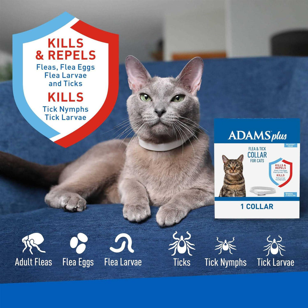 Flea Tick Collar for Cats W6673