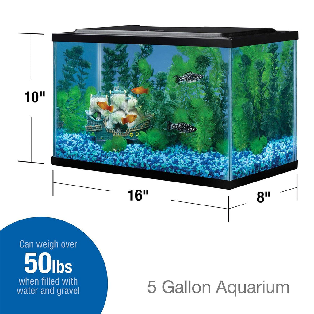 5.5 Gallons Glass Aquarium Y97001