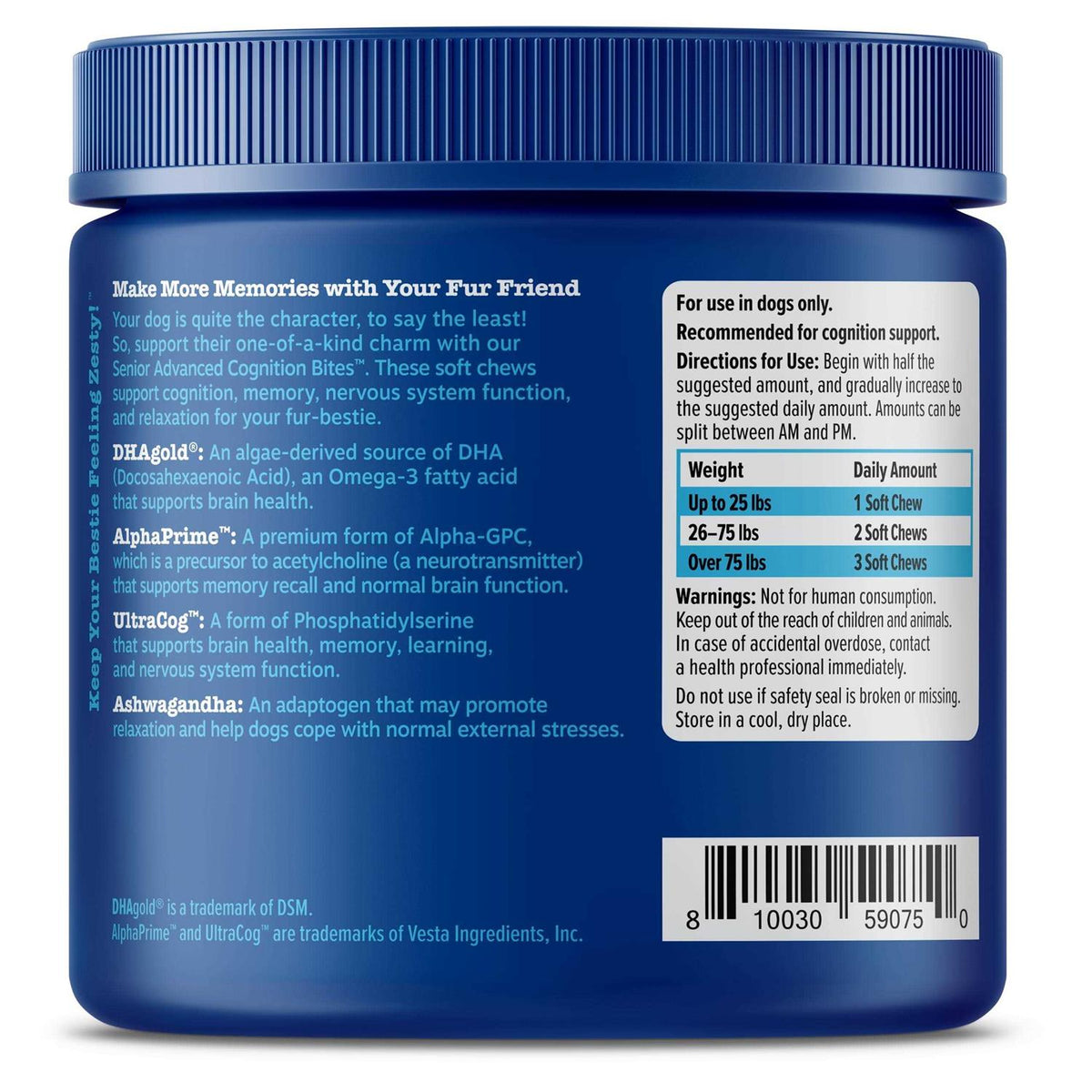 Senior Advanced Cognition Bites J29719
