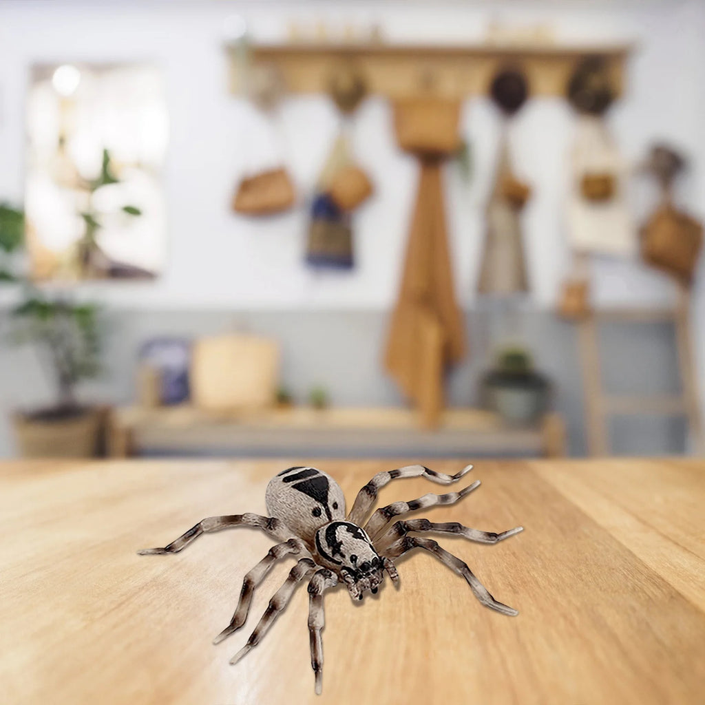 4 Piece Insect Animal Life Cycle Plastic Figures P67317