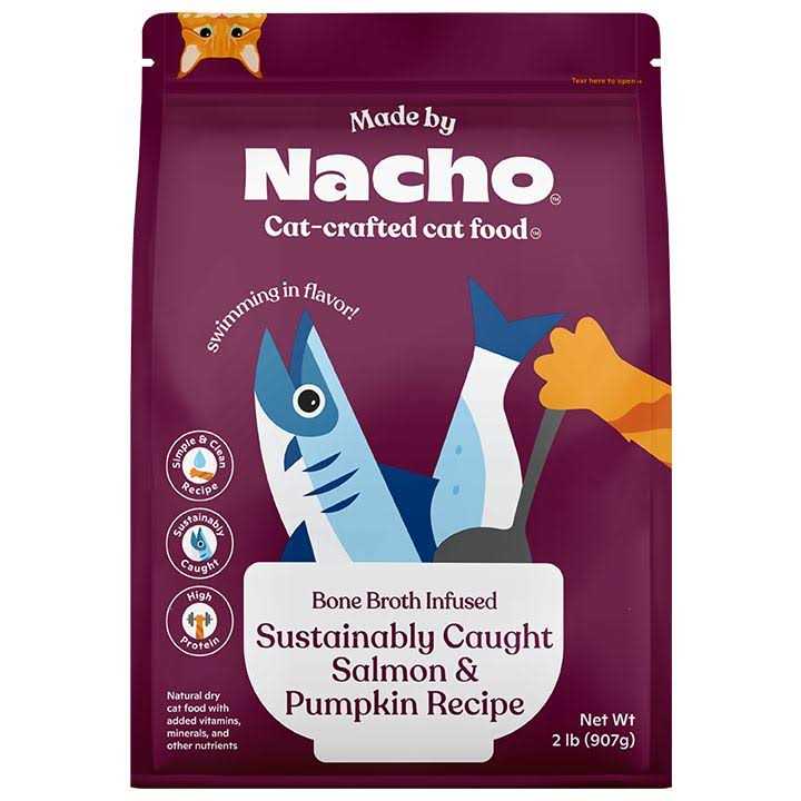 Salmon & Pumpkin Recipe Dry Cat Food B44986