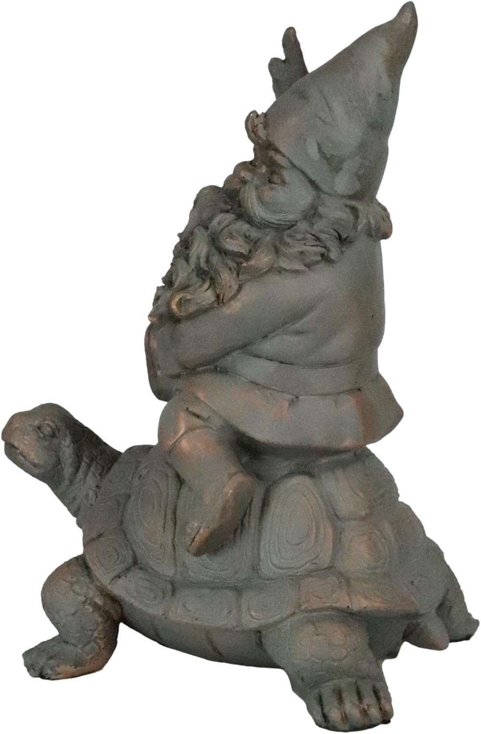 Mr Gnome Sitting On Wild Rodeo Giant Tortoise Figurine P720