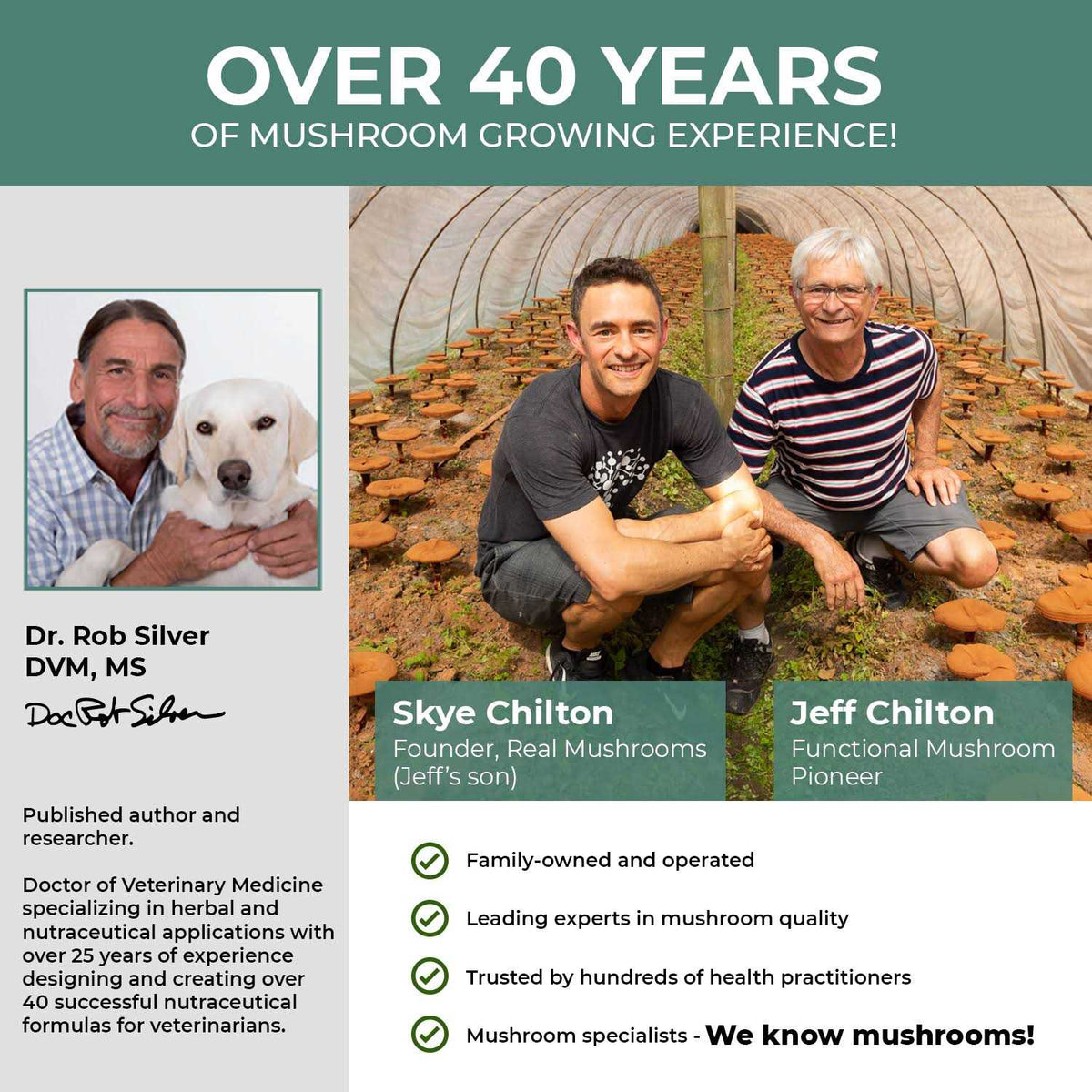 Organic Mushroom Blend W496