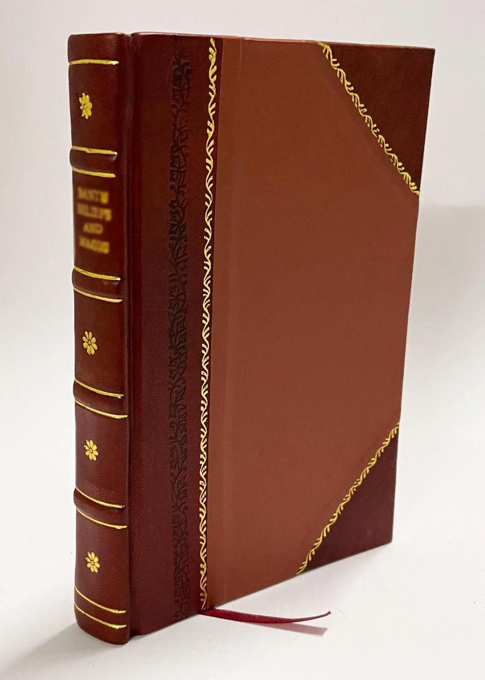 Leather Bound Book V32843