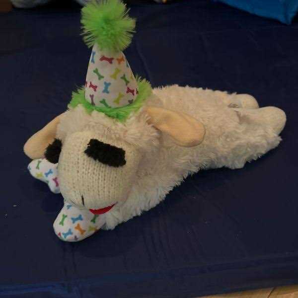 Lamb Chop Dog Toy with Birthday Hat A695