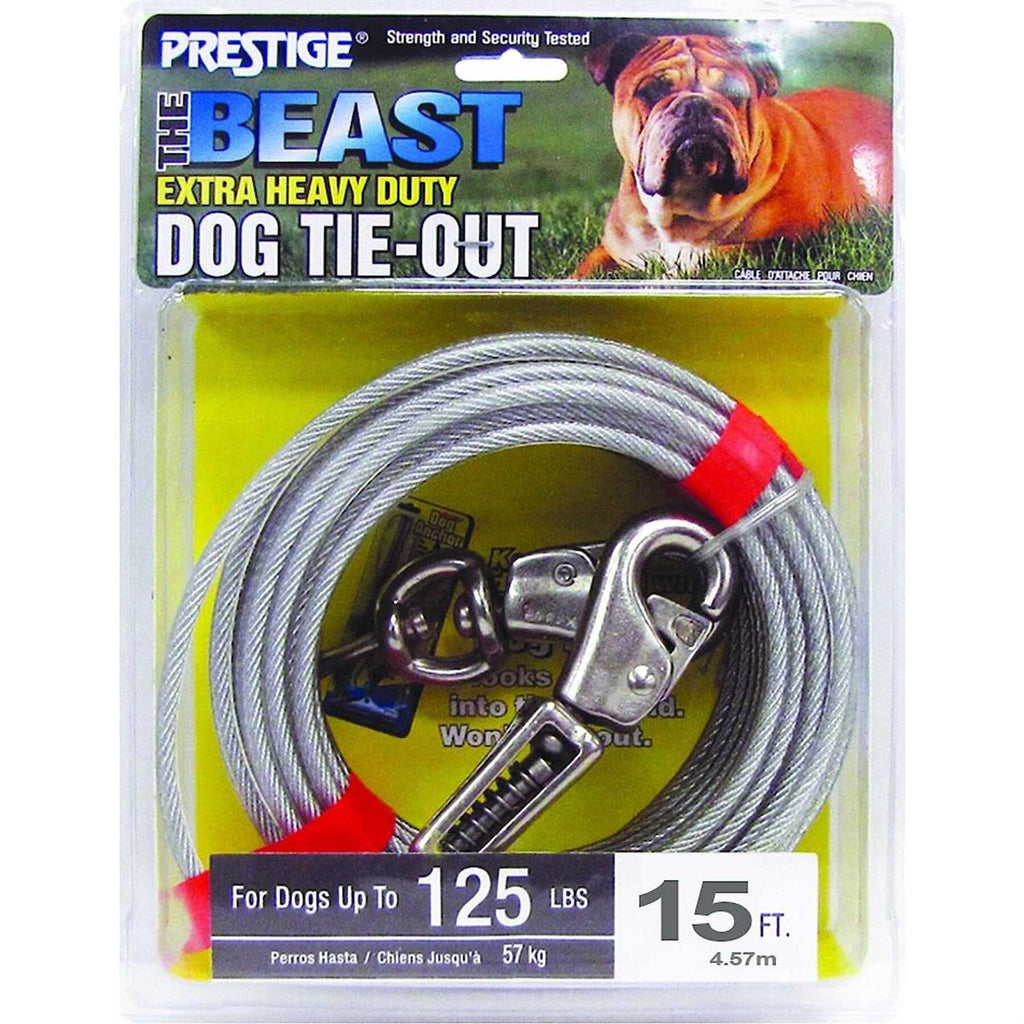 15ft XL Dog Tie-Out with Spring I44806