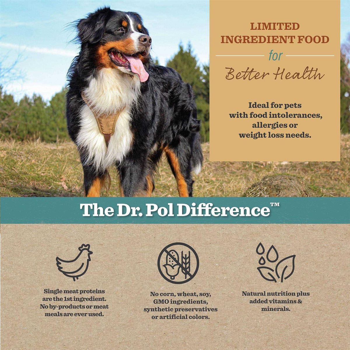 Chicken Recipe Dry Dog Food F562