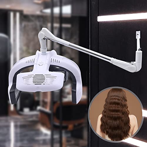 Wall Mounted Hair Dryer with Timer 110V 1250W H60683