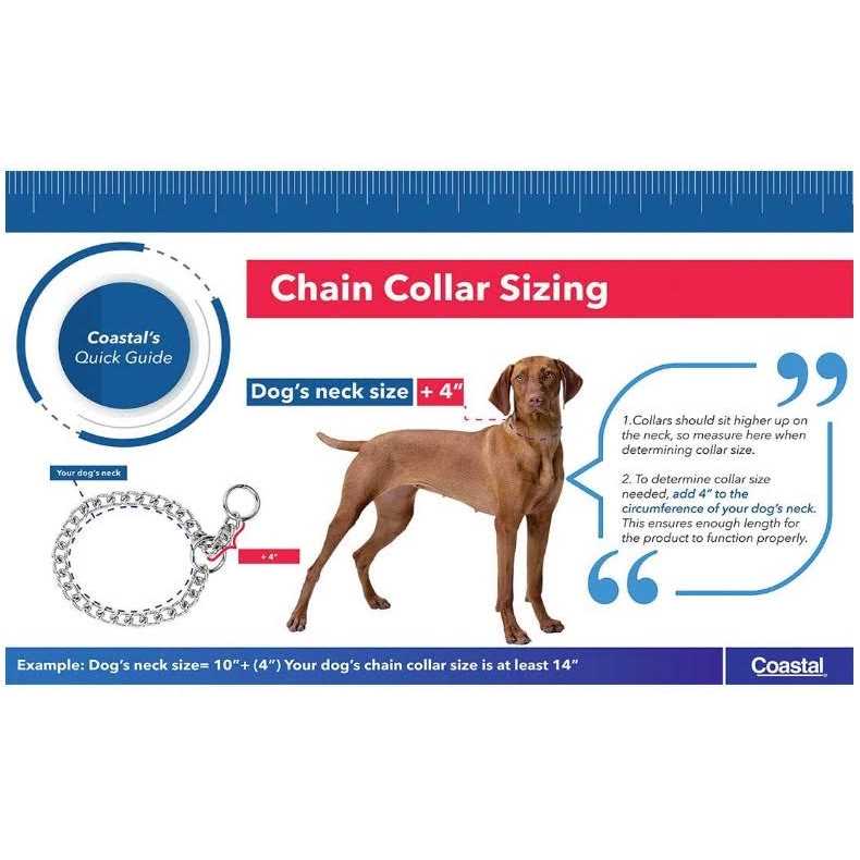 Steel Chain Choke Dog Collar S16197