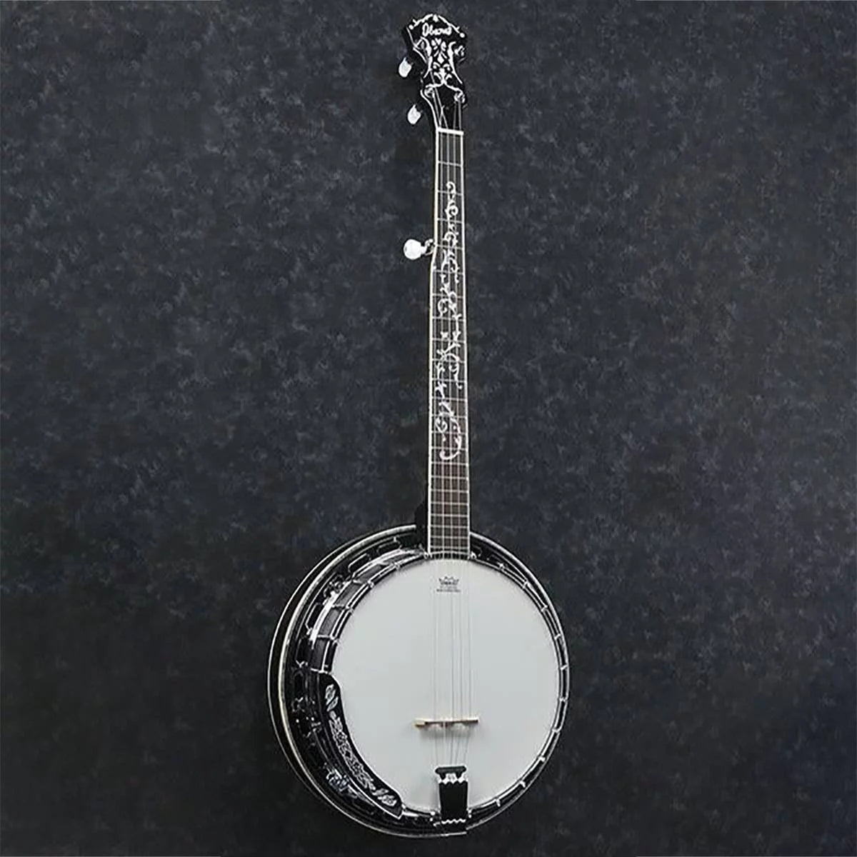 5-String Banjo S654959