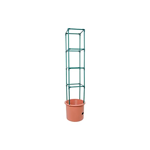 Heavy Duty Tomato Barrel with 4' Tower V96162