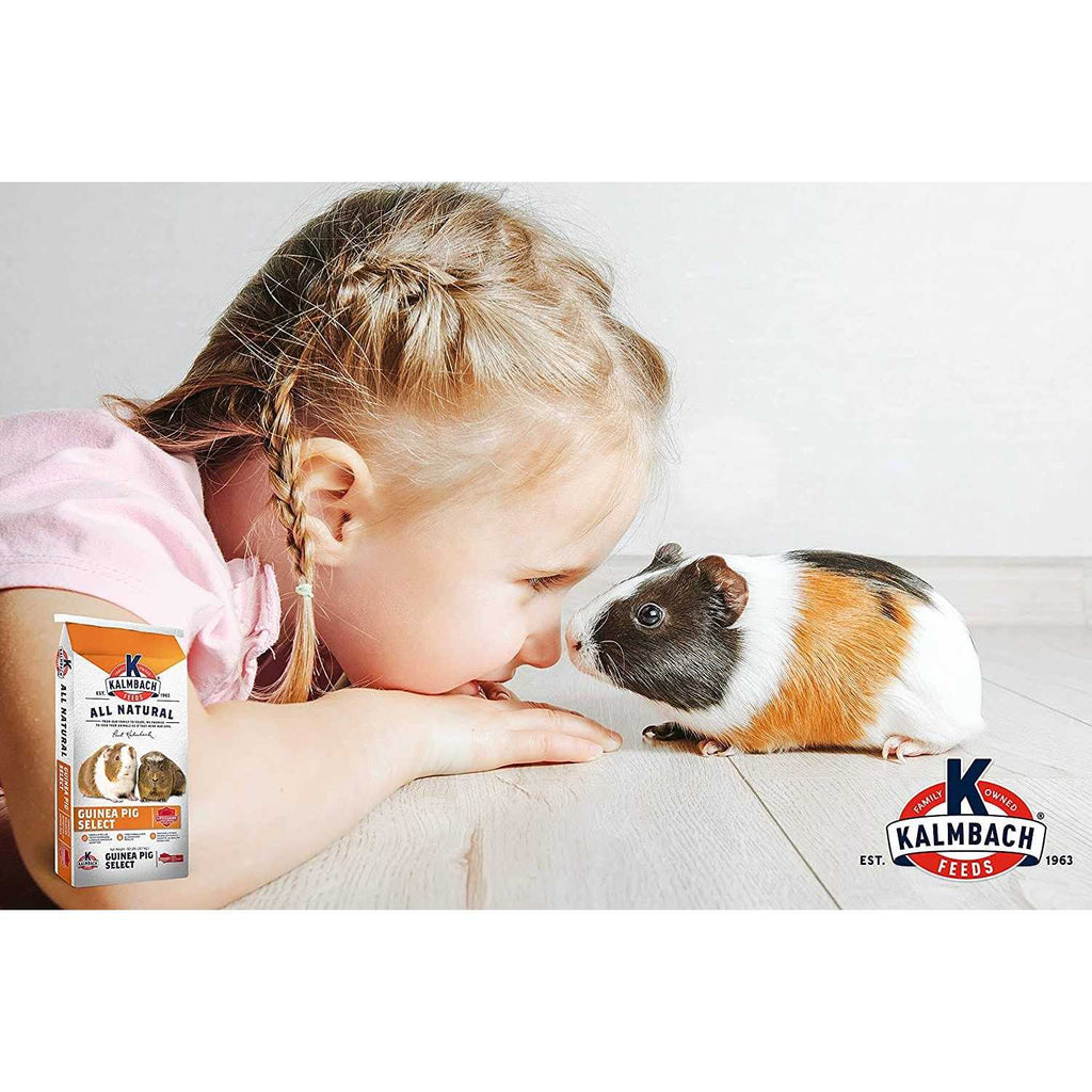 All Natural Guinea Pig Food U961852