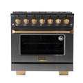 36 5.2 cu. ft. Natural Gas Range in Titanium Stainless Steel S942021