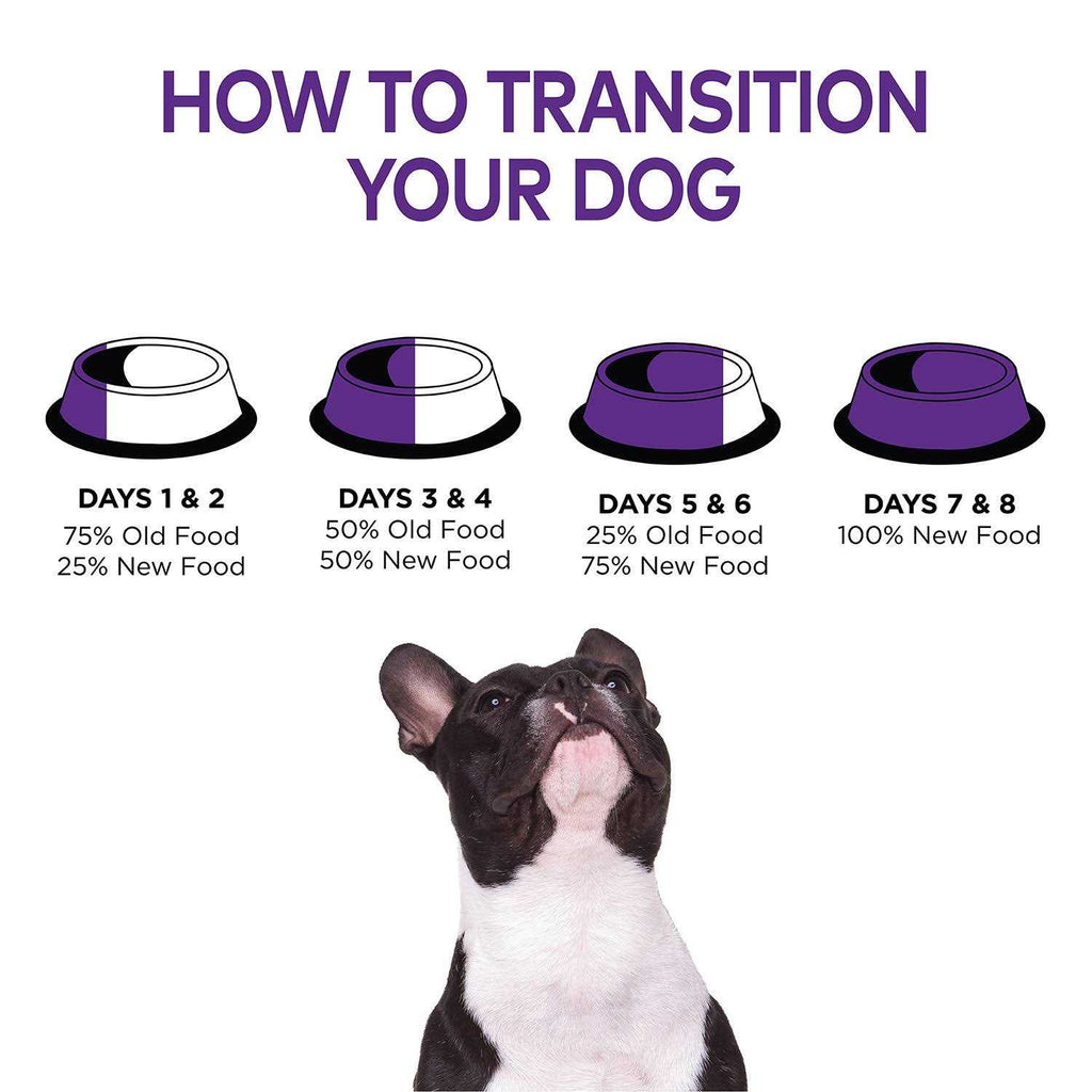 Chicken Senior Dry Dog Food P583262