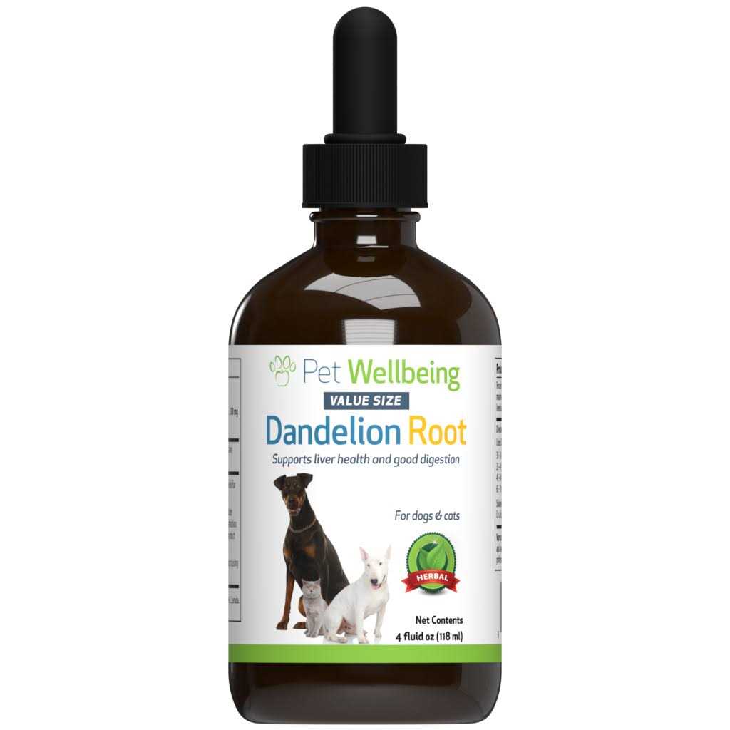 Dandelion Root Cat Liver and Digestive Support S12316
