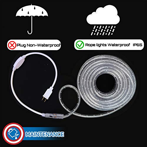 LED Rope Lights Cool White 50 R24443