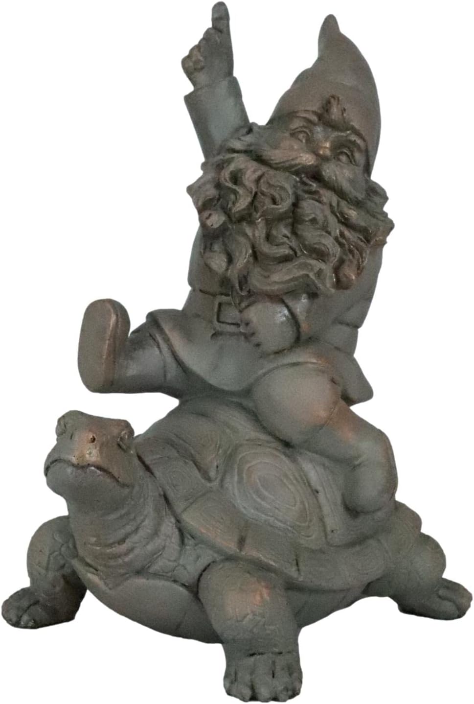 Mr Gnome Sitting On Wild Rodeo Giant Tortoise Figurine P720