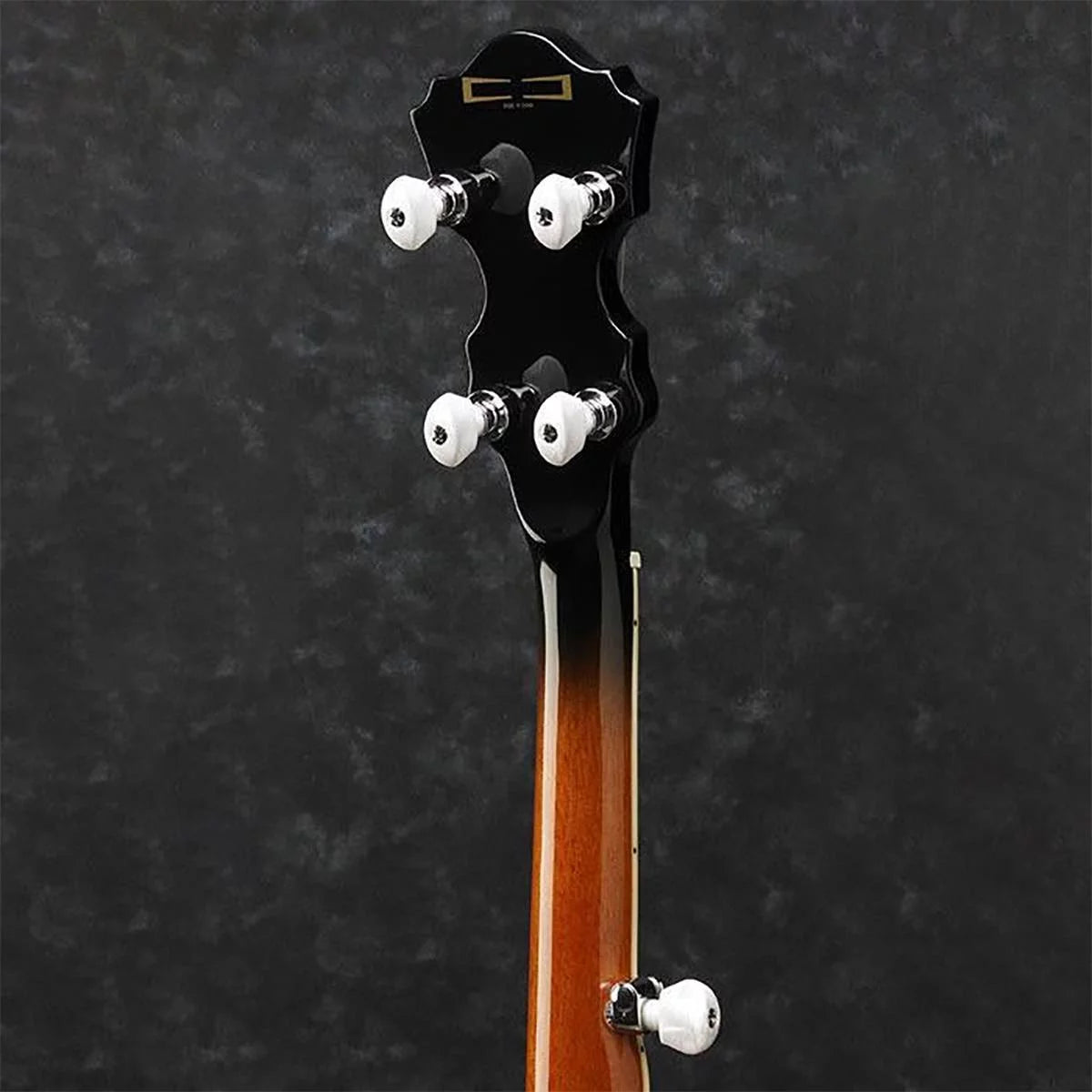 5-String Banjo S654959