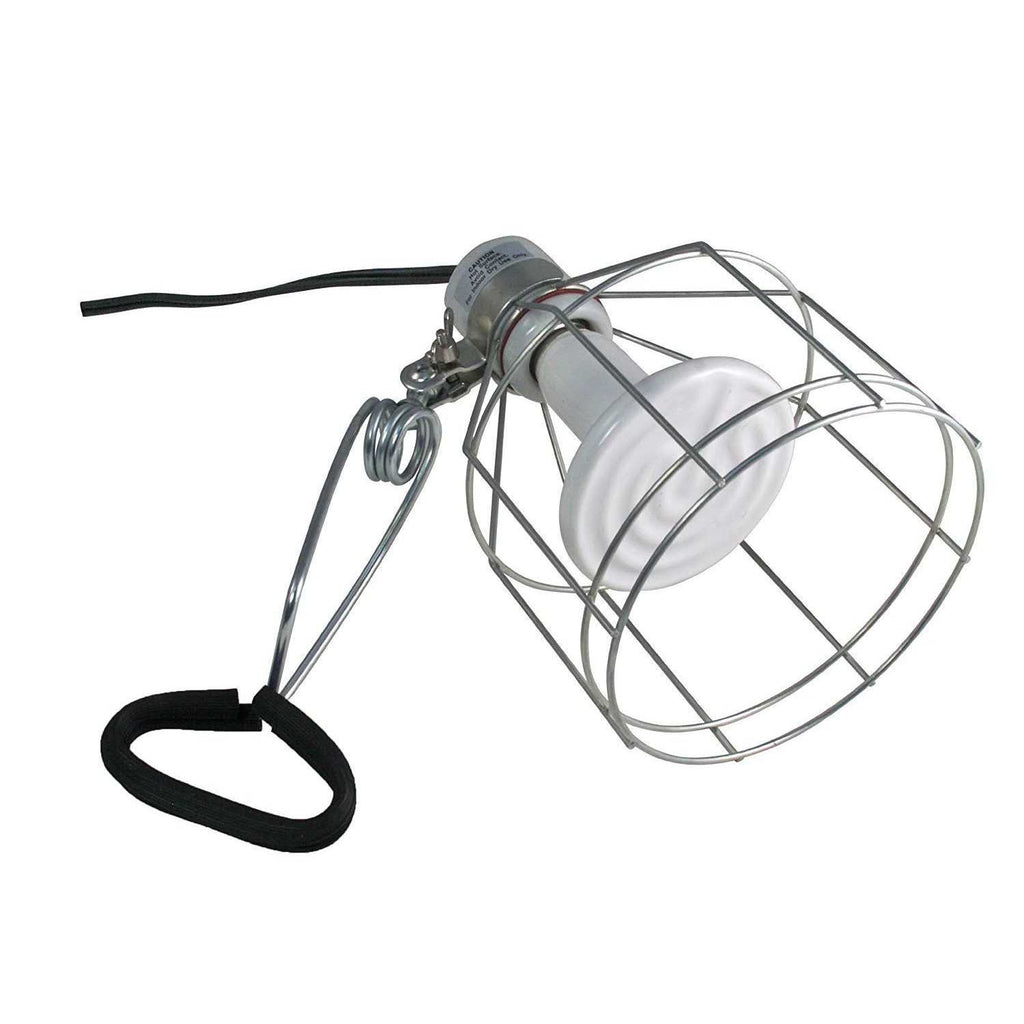 Wire Cage Clamp Lamp L644953