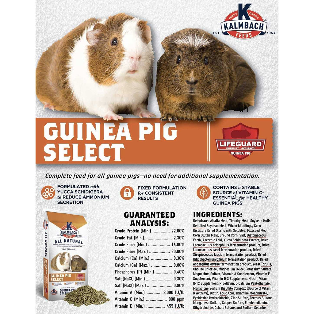 All Natural Guinea Pig Food U961852