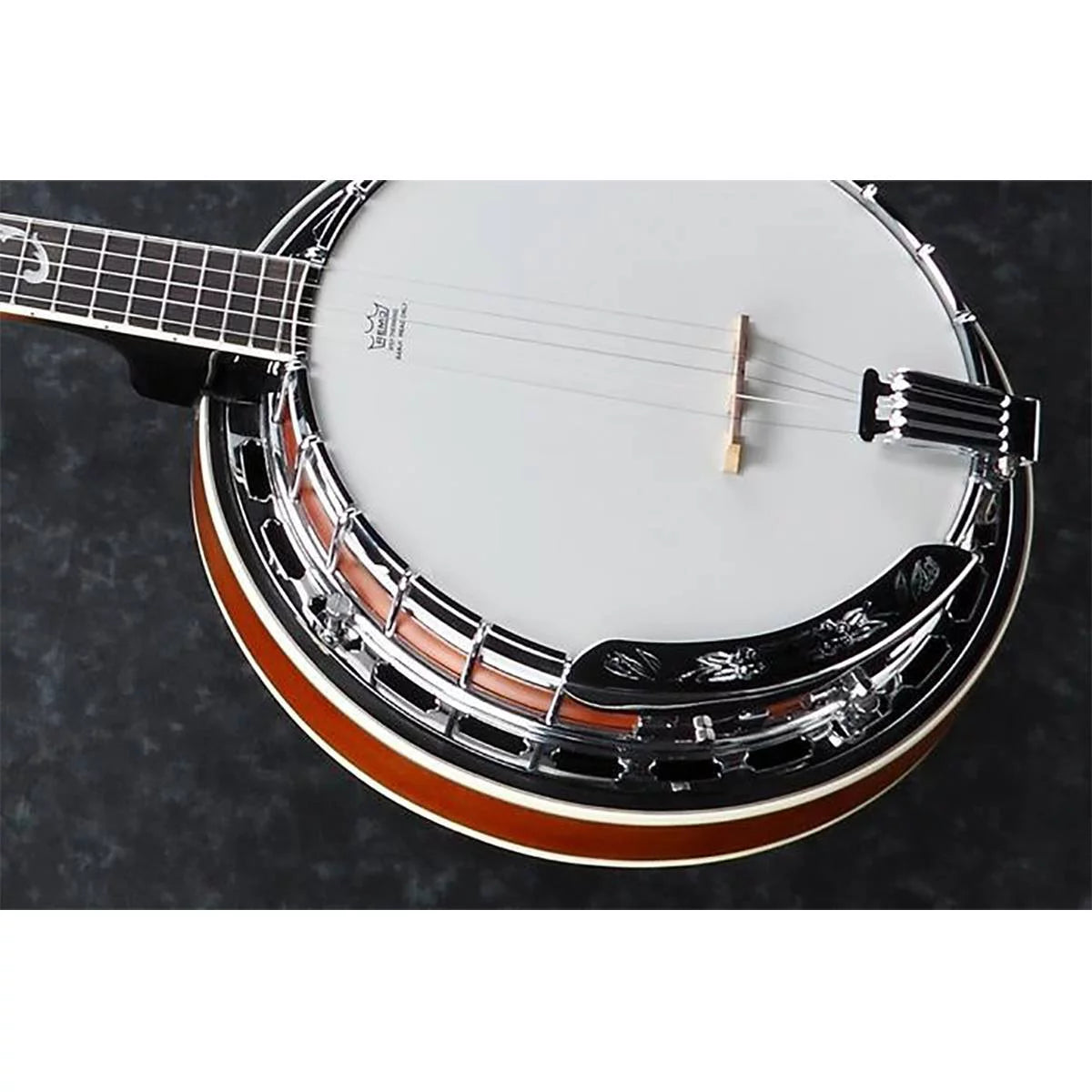 5-String Banjo S654959