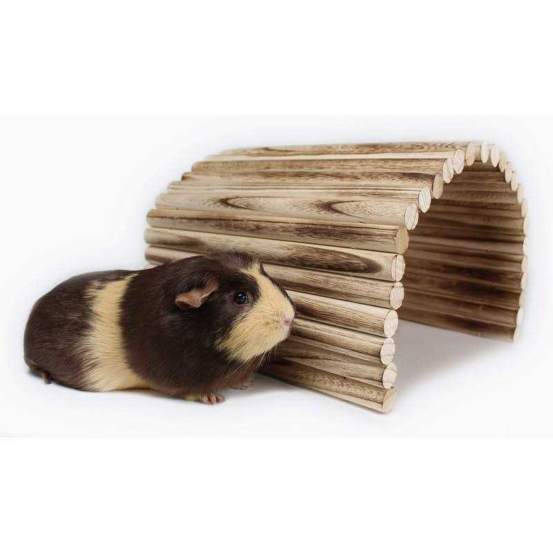 Extra Large Wood House Tunnel Ramp U917766