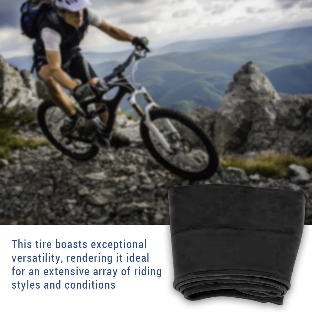 Fat Bike Inner Tube 20 x 4.0 Inch G674792