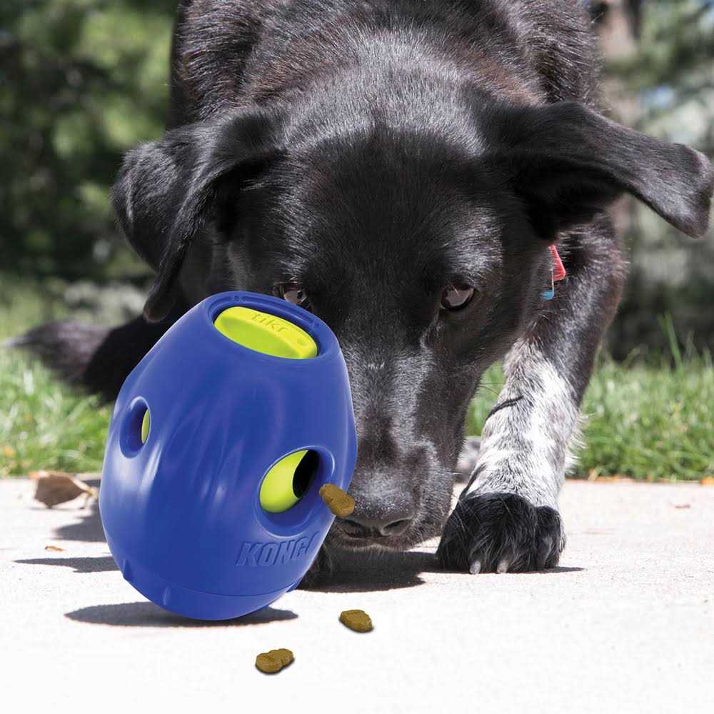 Dog Toy U1828