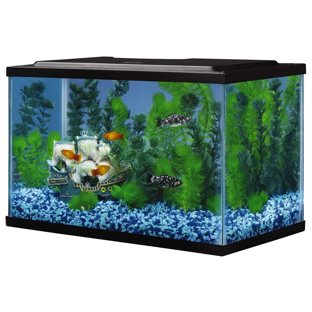 5.5 Gallons Glass Aquarium Y97001
