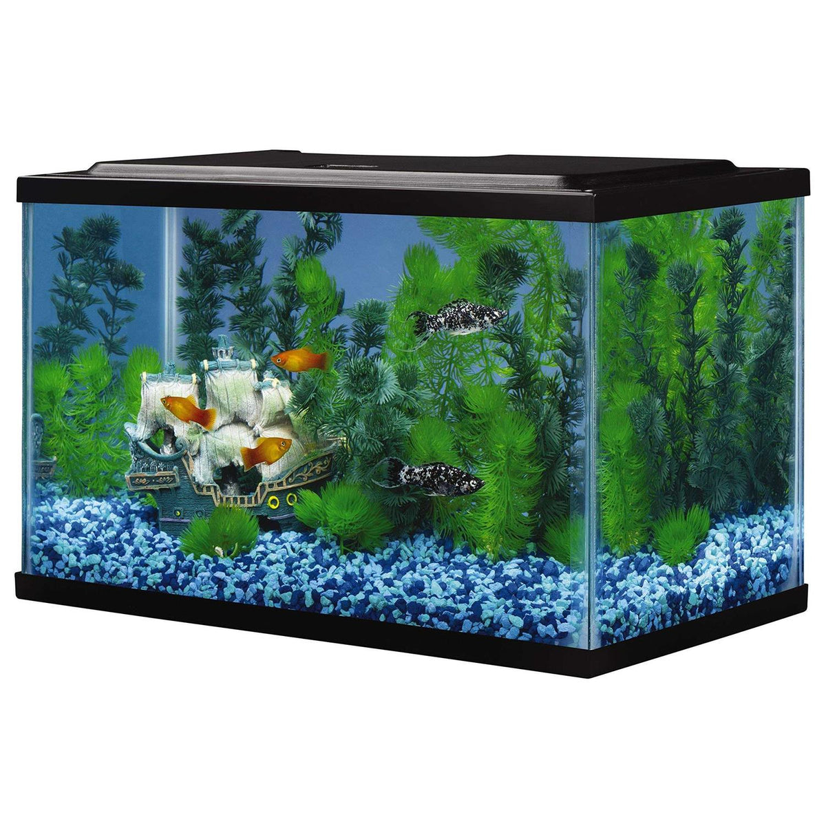 5.5 Gallons Glass Aquarium Y97001