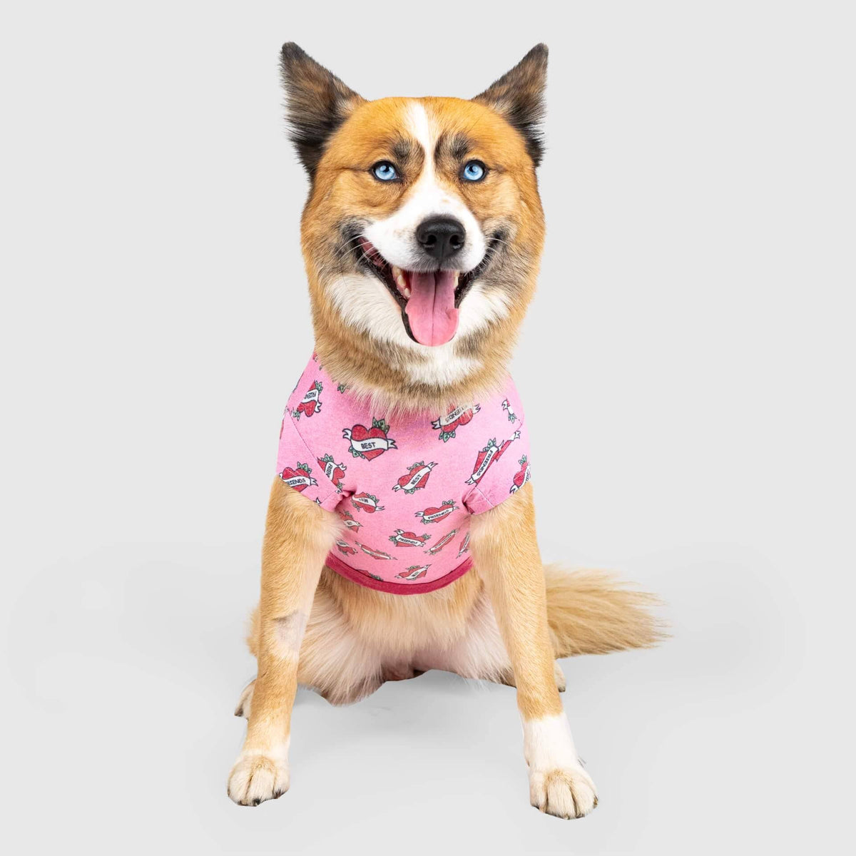 Canada Pooch Tee H1497