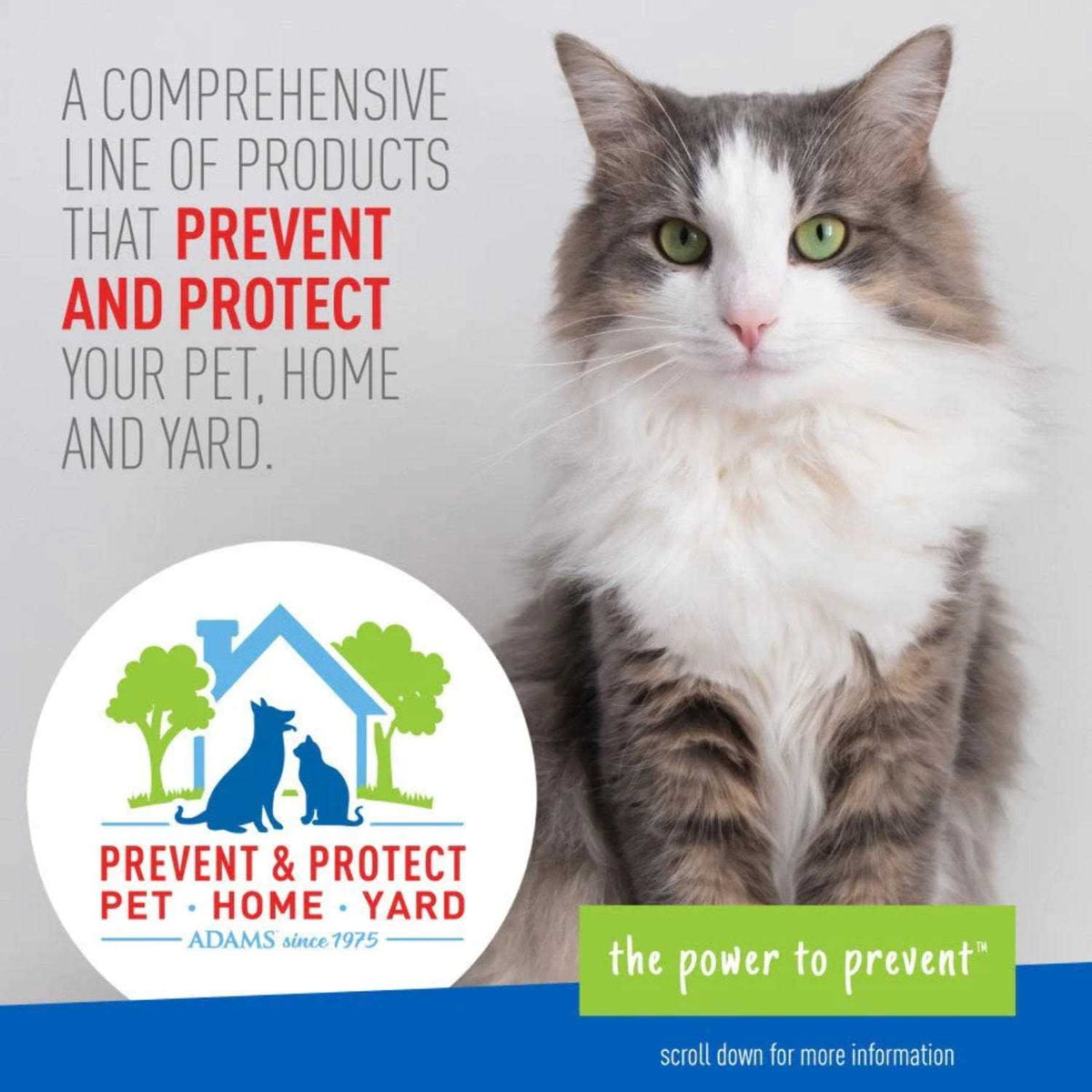 Flea Tick Collar for Cats W6673