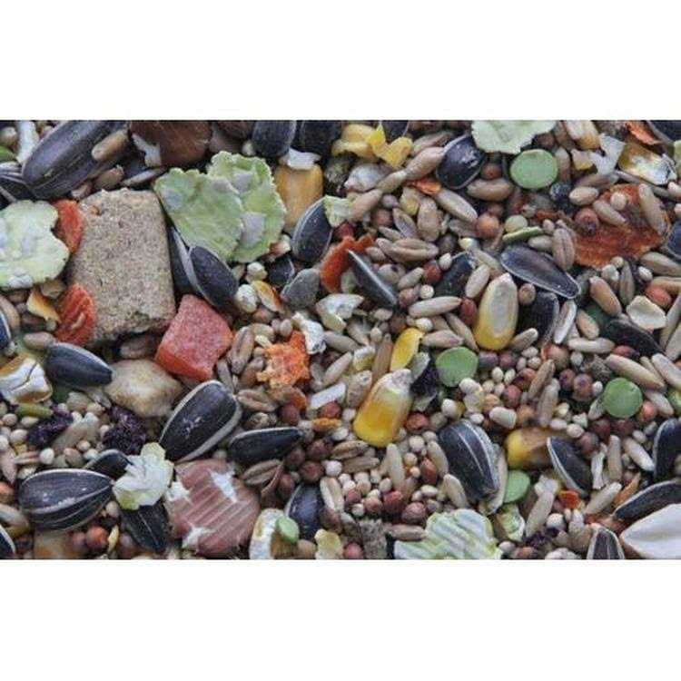 Gourmet Blend Rat & Mouse Food T4425