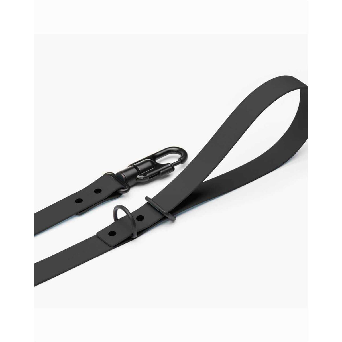 Dog Leash U17599