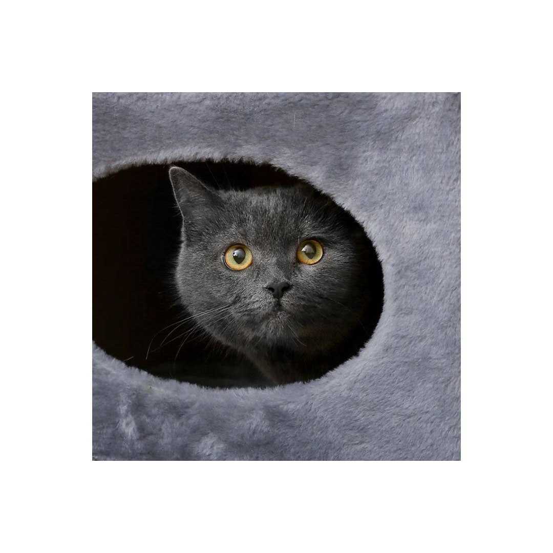 2-Story Cat Condo & Scratching Pad D983