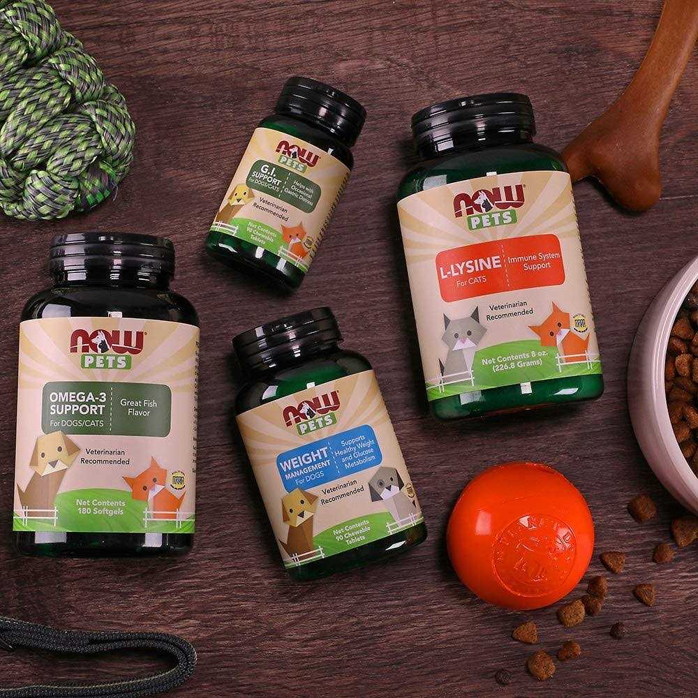 Weight Management for Dogs H348