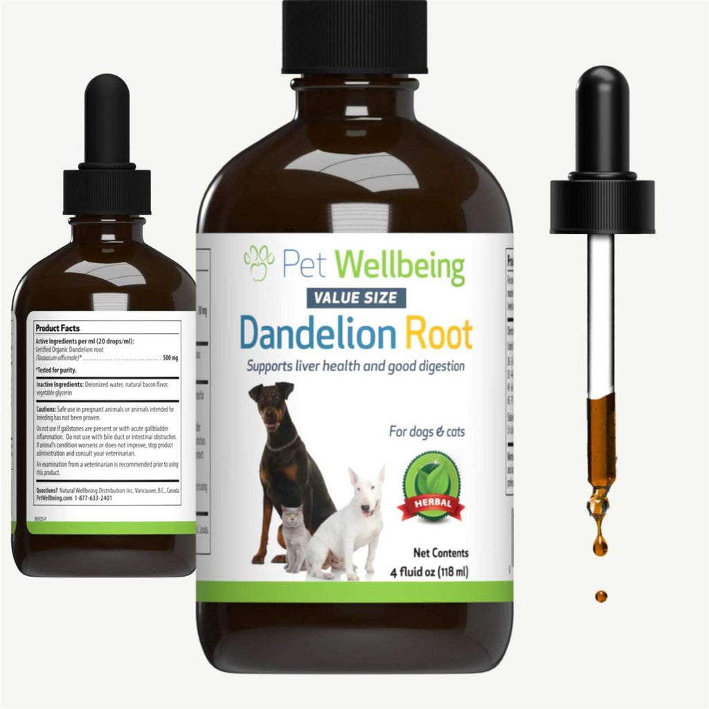 Dandelion Root Cat Liver and Digestive Support S12316
