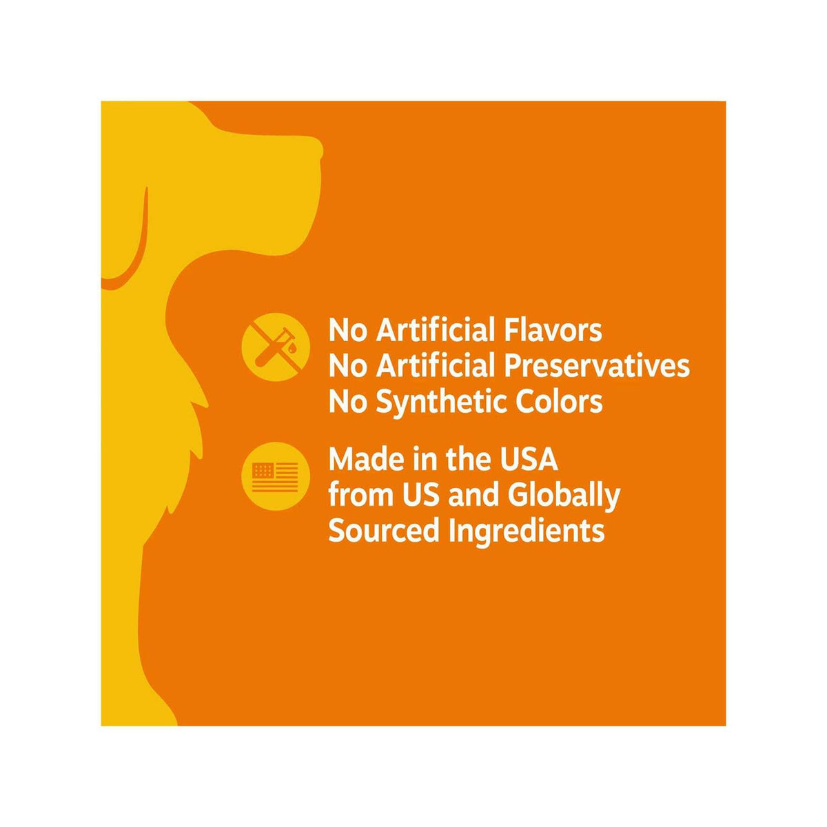 Senior Advanced Cognition Bites J29719