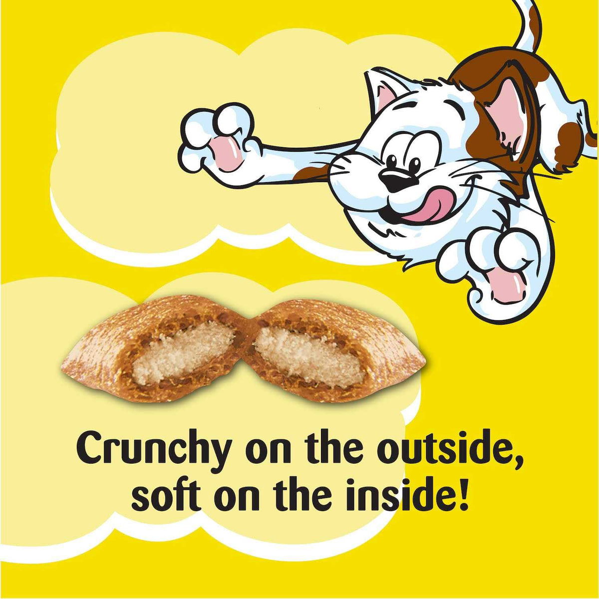 Crunchy and Soft Cat Treats Variety Pack B207